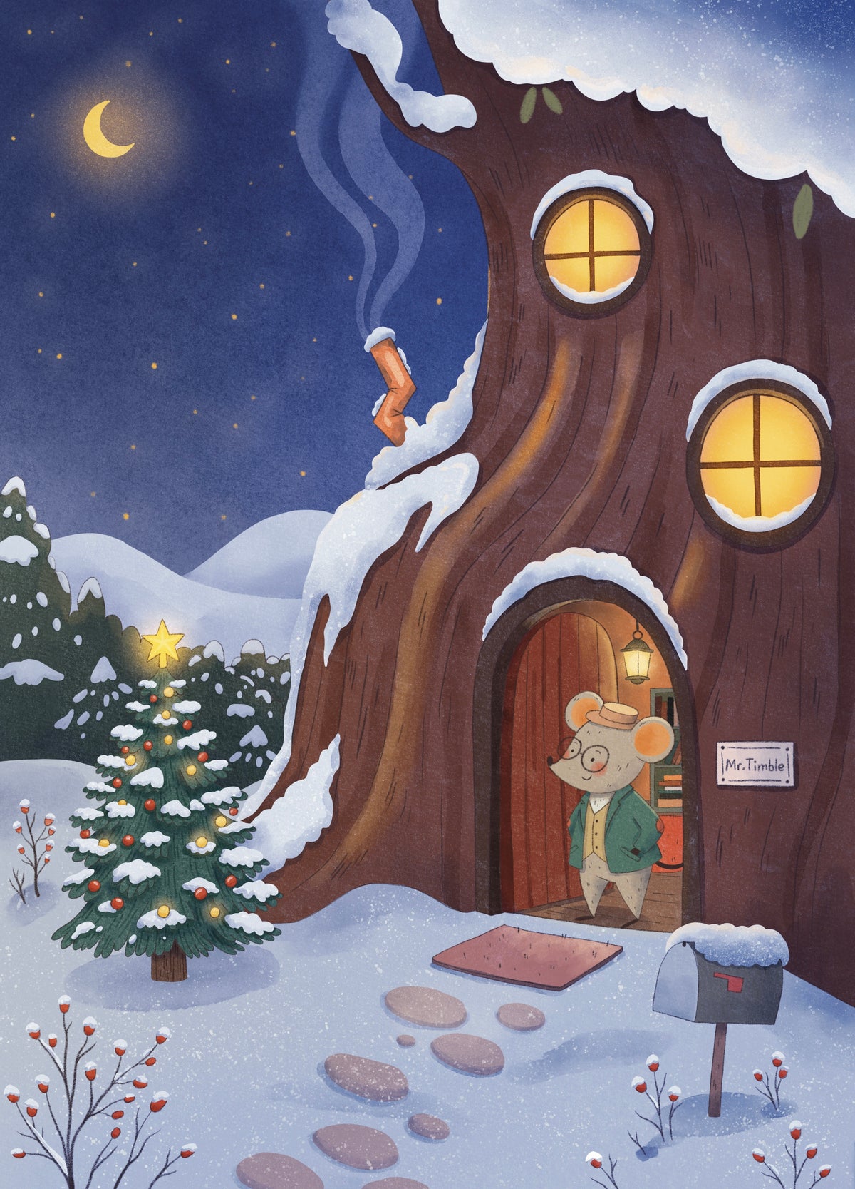 Mr Timble and the Missing Christmas Gift: Rhyming Children's Book for Ages 2–7